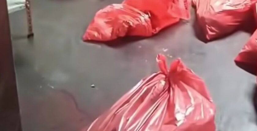 ABB’den ‘Barınakta Katliam’ İddialarına Yalanlama: Görüntüler Eski ve Başka Bir Yere Ait