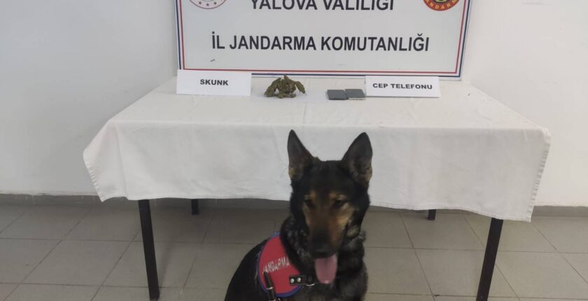 Yalova’da Uyuşturucu Operasyonu: Kadıköy Beldesinde 2 Şüpheli Yakalandı