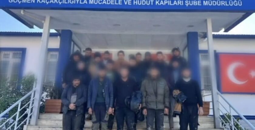 Hayvan Dışkısıyla Kamufle Edildiler