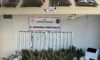 Kocaeli’de İklimlendirmeli Uyuşturucu Seralarına Darbe